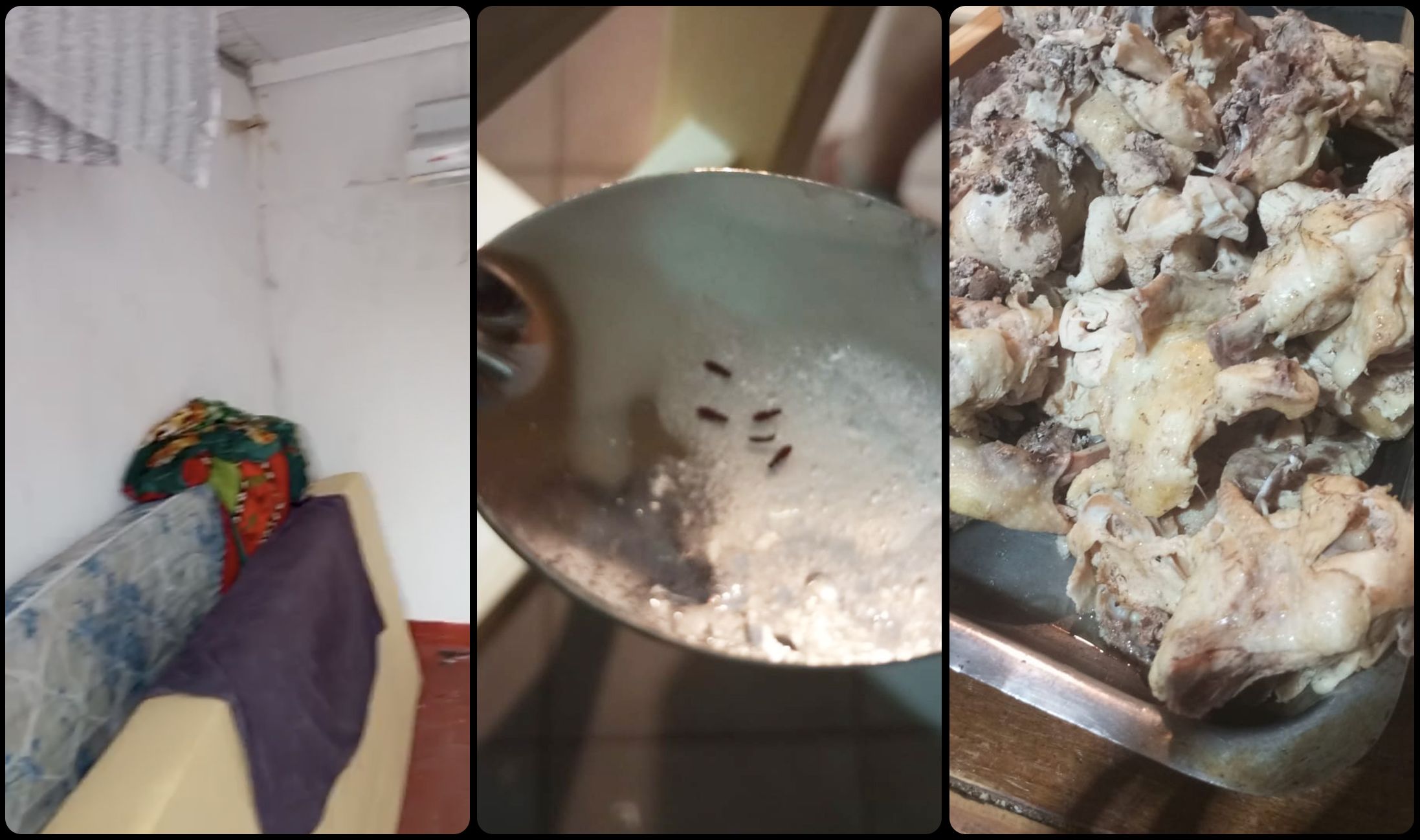 乐游体育体育官网首页登录注册平台入口｜体育馆阿根廷足球梦工厂：青训体系背后的残酷真相